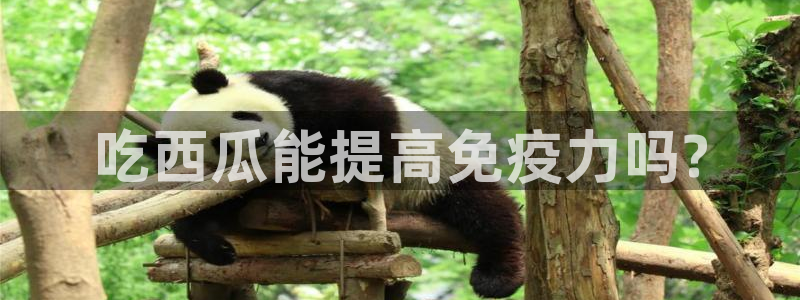 51cg1.ct吃瓜张津瑜：吃西瓜能提高免疫力吗?