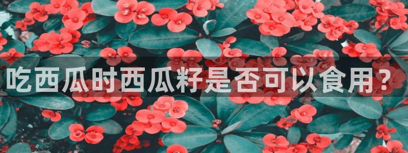 51吃瓜群众路线