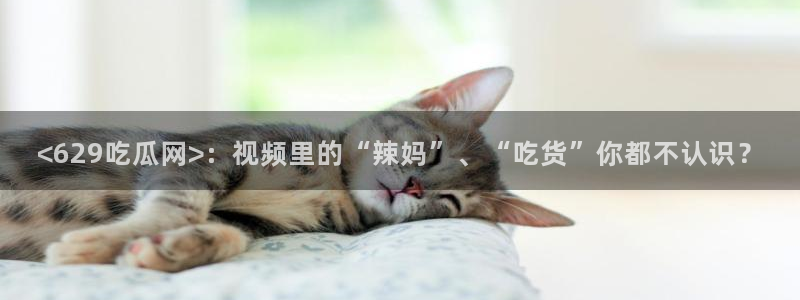 51吃瓜全网最快的吃瓜网站