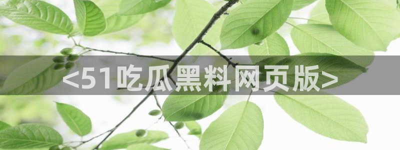 www.吃瓜.com：<51吃瓜黑料网页版>