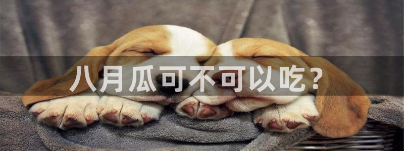 91今日吃瓜热门大瓜