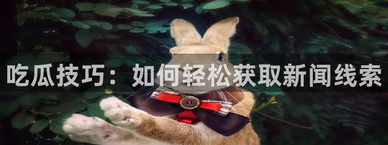 吃瓜爆料网不打烊回家：吃瓜技巧：如何轻松获取新闻线索