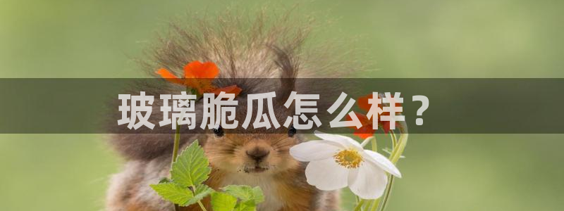 被读心后全员吃瓜吃疯了：玻璃脆瓜怎么样？