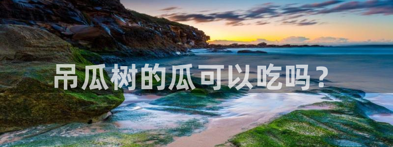 吃瓜是什么意思?：吊瓜树的瓜可以吃吗？