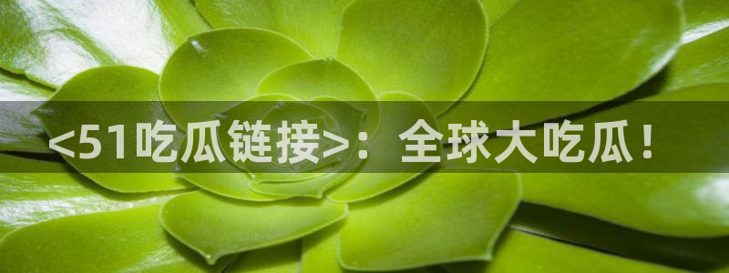 长生武道从九龙夺嫡开始吃瓜：<51吃瓜链接>：全球大吃瓜！