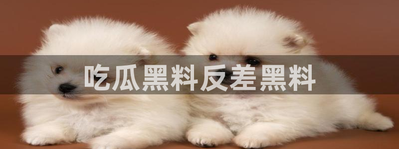 51吃瓜今日吃瓜官网最新