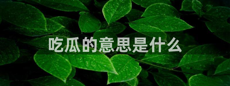 51吃瓜全网更新最快