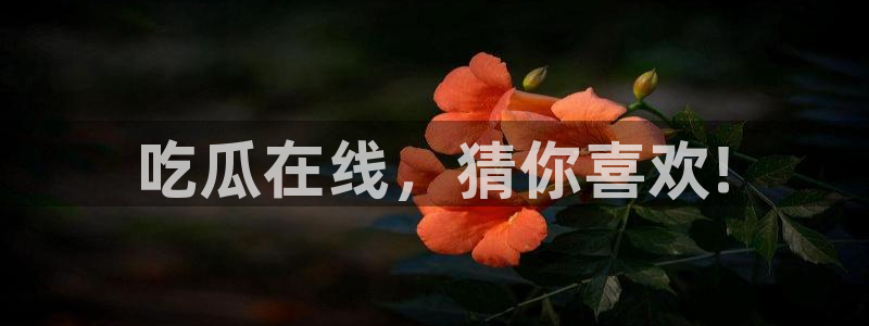 吃瓜什么意思