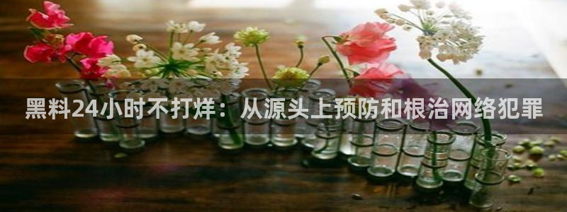 www.黑料.com