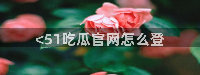 吃瓜的意思