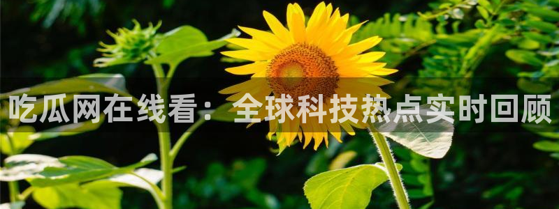 长生武道:从九龙夺嫡开始吃瓜：吃瓜网在线看：全球科技热点实时回顾
