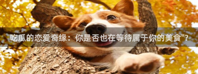 cggolive51吃瓜