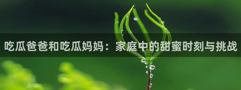高血糖能吃籽瓜吗：吃瓜爸爸和吃瓜妈妈：家庭中的甜蜜时刻与挑战