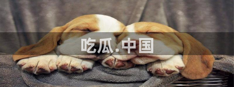 www.吃瓜.com：吃瓜.中国