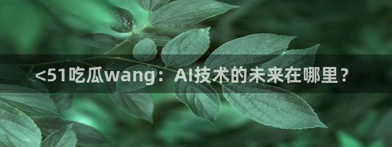 51吃瓜今日吃瓜最新网址：<51吃瓜wang：AI技术的未来在哪里？