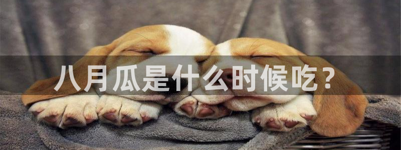 脆瓜尽量少吃最好不吃:八月瓜是什么时候吃?