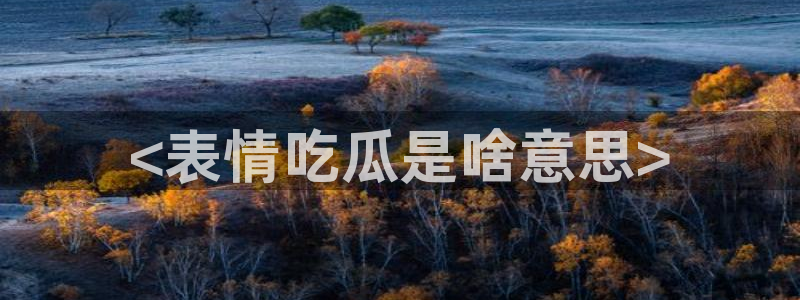 各种网红爆料吃瓜网站：<表情吃瓜是啥意思>
